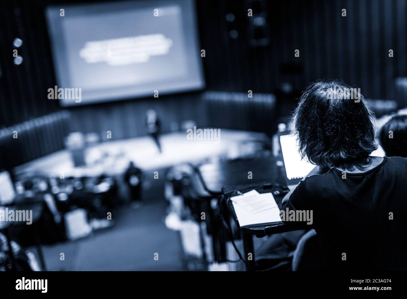 Konferenz und Präsentation. Publikum im Konferenzsaal. Business und Entrepreneurship. Lehrvortrag und Workshop der Fakultät. Konzentrieren Sie sich auf Unerkennbarkeit per Stockfoto