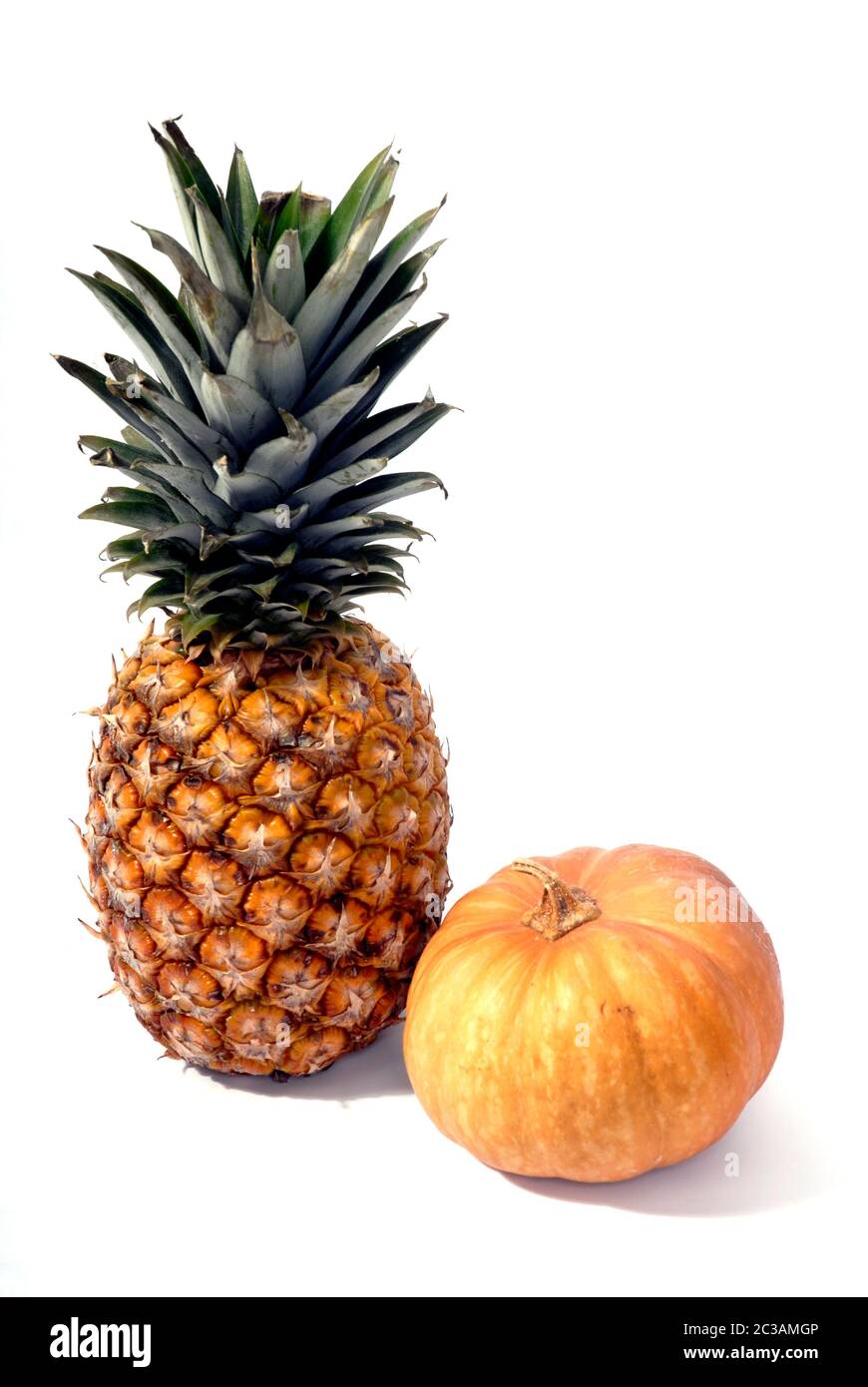 Ananas und ein Kürbis auf weißem Hintergrund Stockfoto