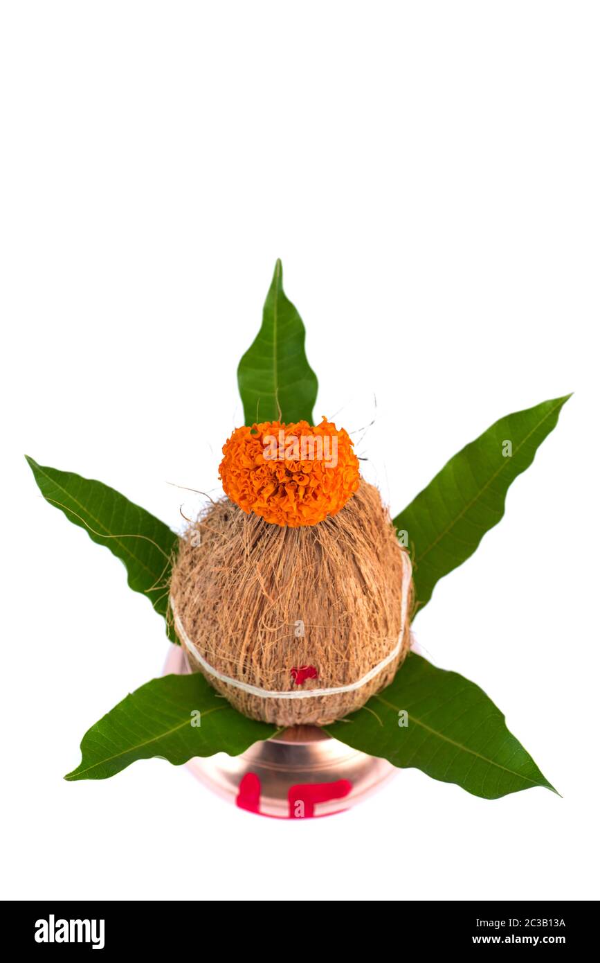 Kupfer Kalash mit Kokos und Mango leaf mit Blumenschmuck auf einem weißen Hintergrund. Wesentlich in der hinduistischen Puja. Stockfoto