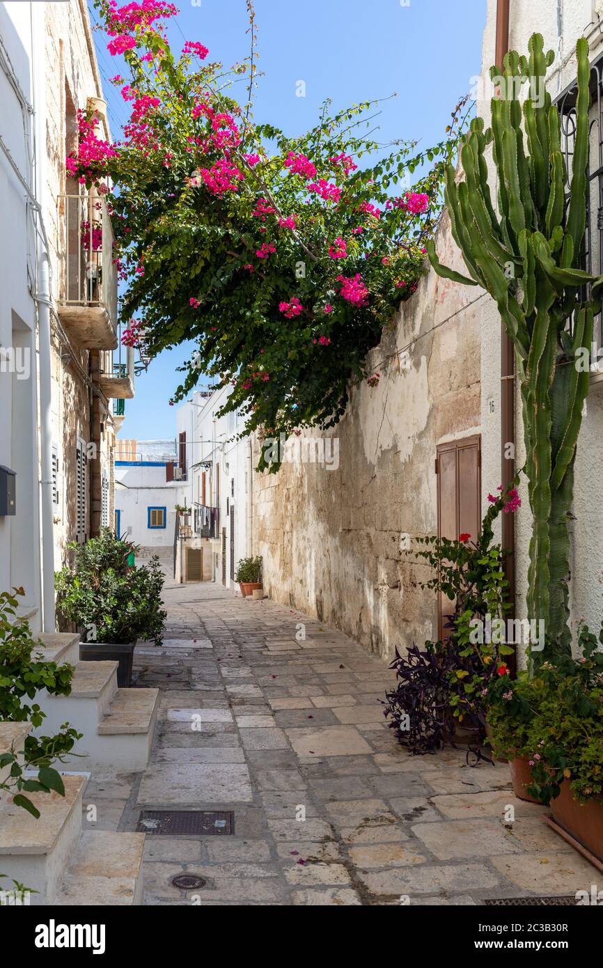 Polignano a Mare, Italien - 17. September 2019: Das charmante und romantische Altstadt von Polignano a Mare und Apulien, Süditalien Stockfoto