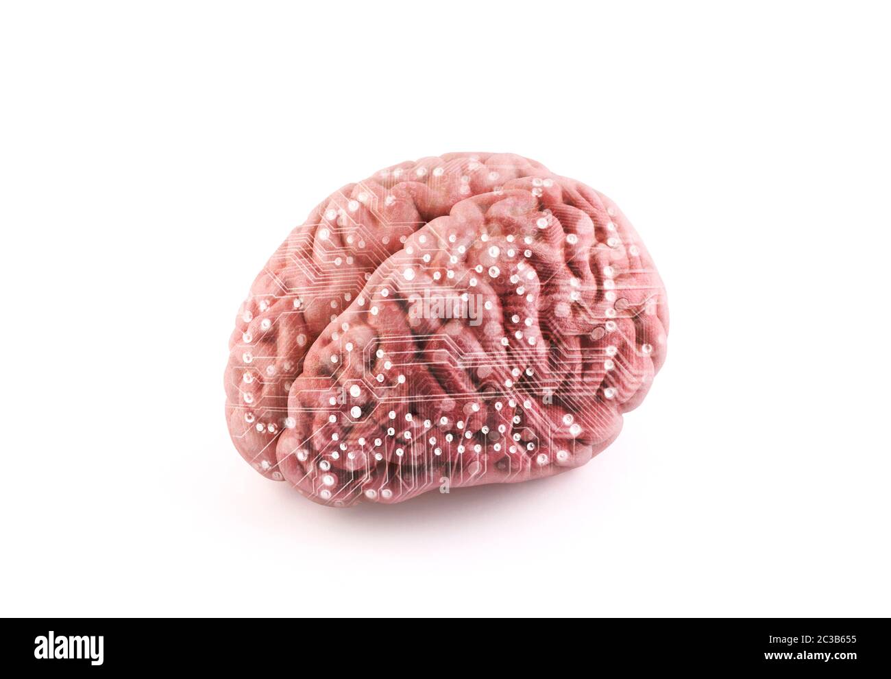 Computer Human Brain isoliert auf weiß mit Clipping-Pfad Stockfoto