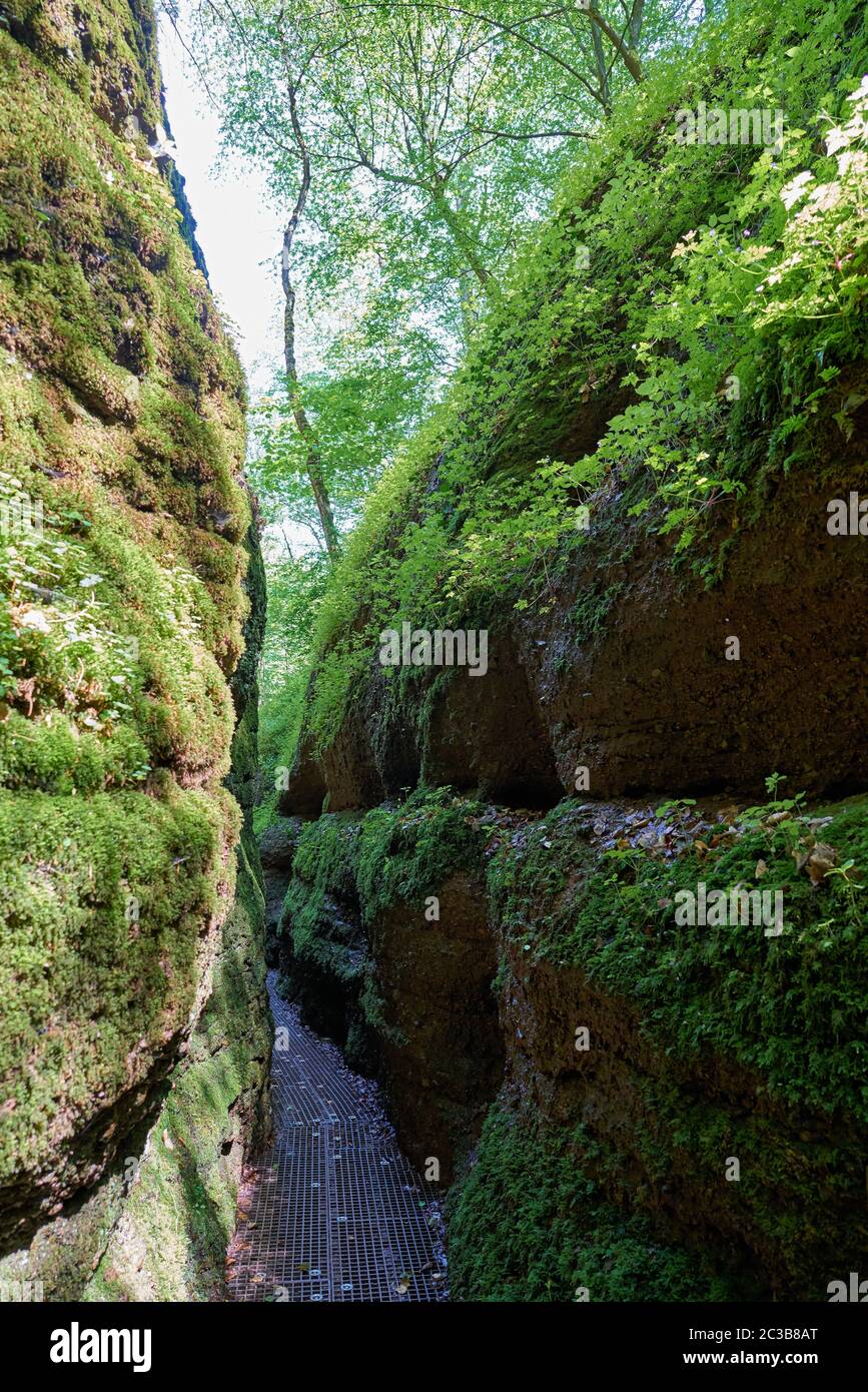 Wanderweg durch den Drachen Schlucht am Fuß der Wartburg bei Eisenach in Thüringen Stockfoto