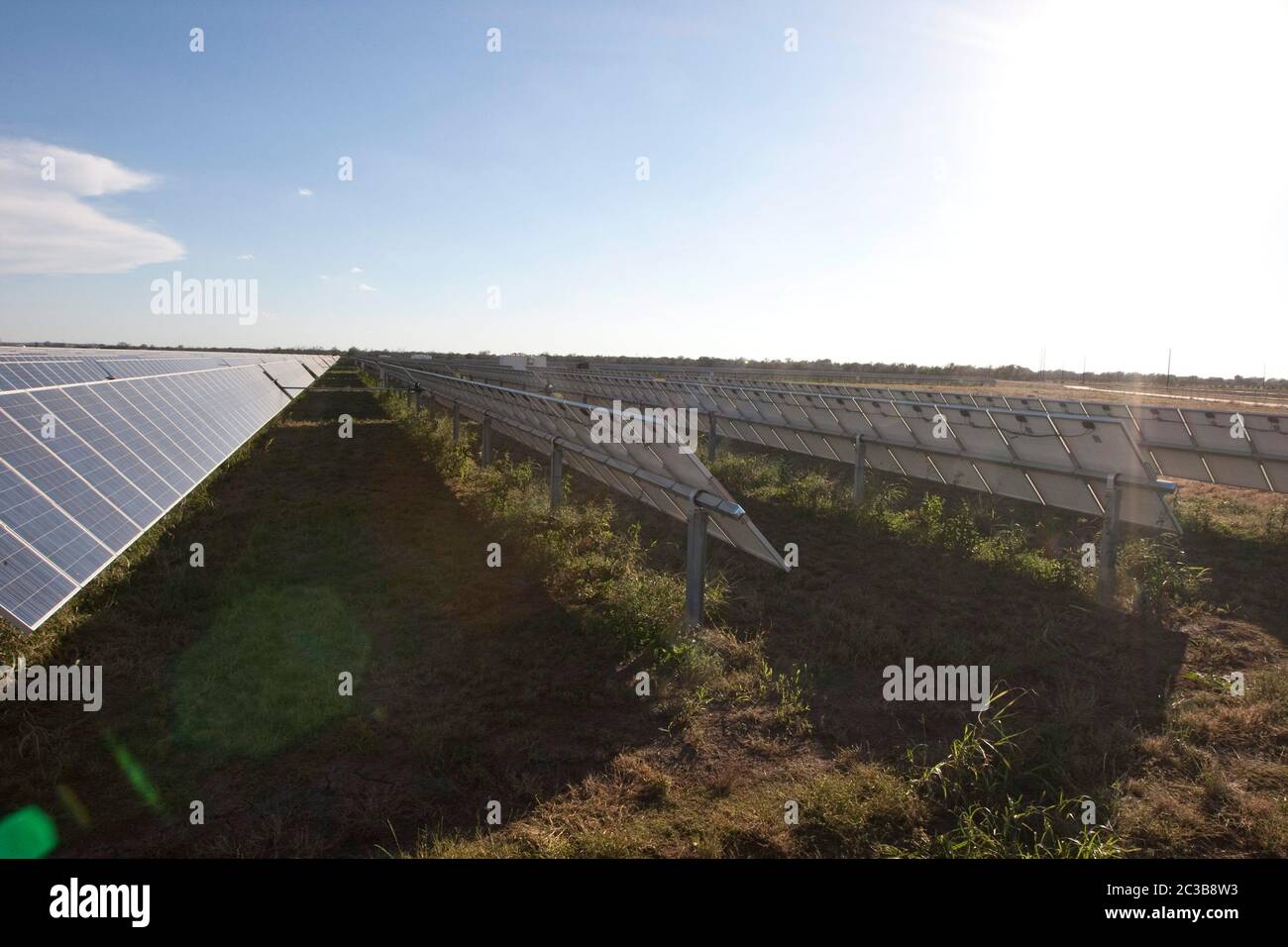 Manor Texas, USA, 2012: Webberville Solar Farm, das größte aktive Solarprojekt aller öffentlichen Energieversorger des Landes. Es verfügt über mehr als 127.000 Module und kann mehr als 61 Millionen kWh Strom erzeugen, Texas - 2012. ©MKC / Daemmrich Photos Stockfoto