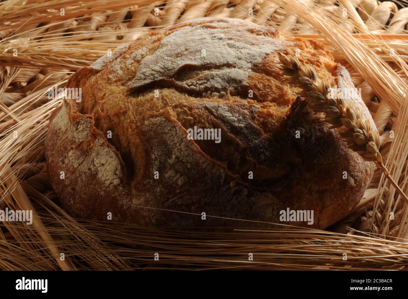 Nahaufnahme von frischem Brot mit Weizen Stockfoto