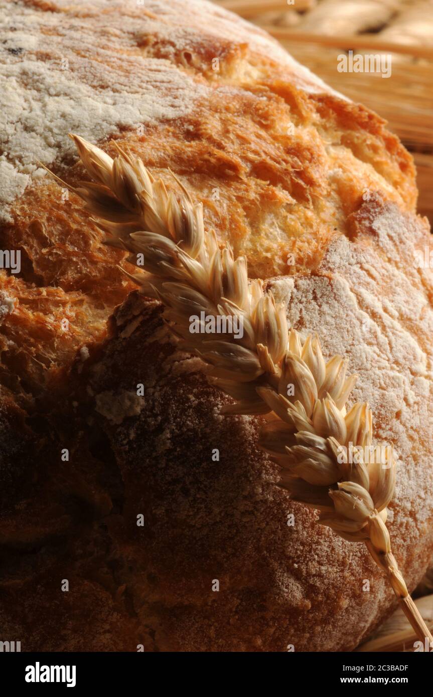 Nahaufnahme von frischem Brot mit Weizen Stockfoto