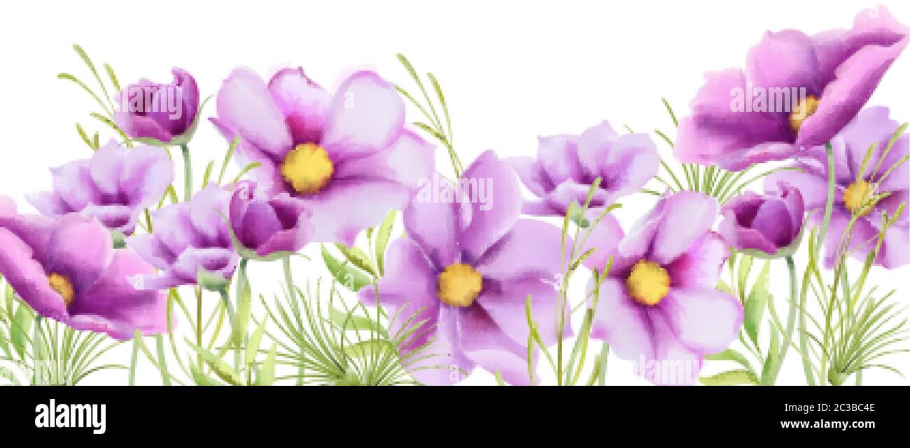 Aquarell lila Gänseblümchen Blumen mit grünen Blättern. Breites Banner. Vektor Stock Vektor