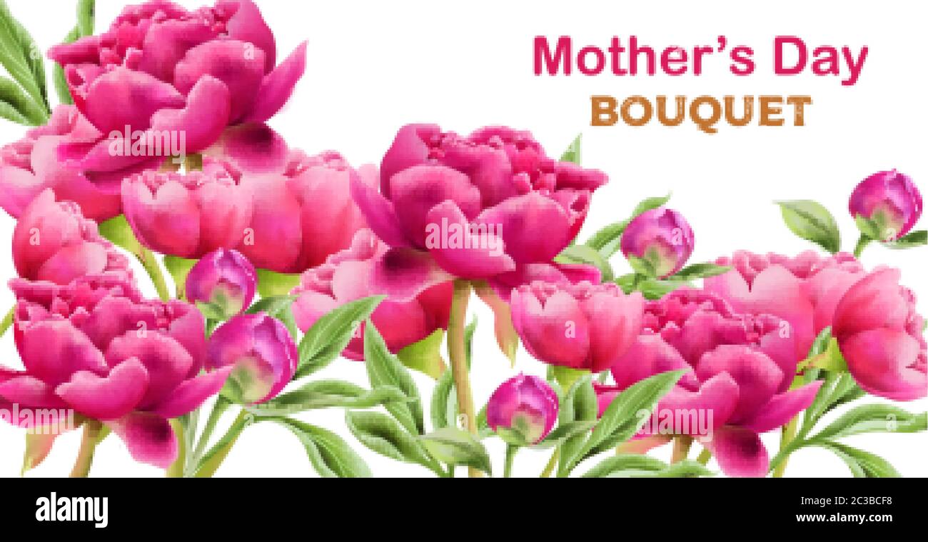 Aquarell lila Pfingstrosen Blumen Frühling Bouquet mit grünen Blättern. Blumenstrauß zum Muttertag. Vektor Stock Vektor