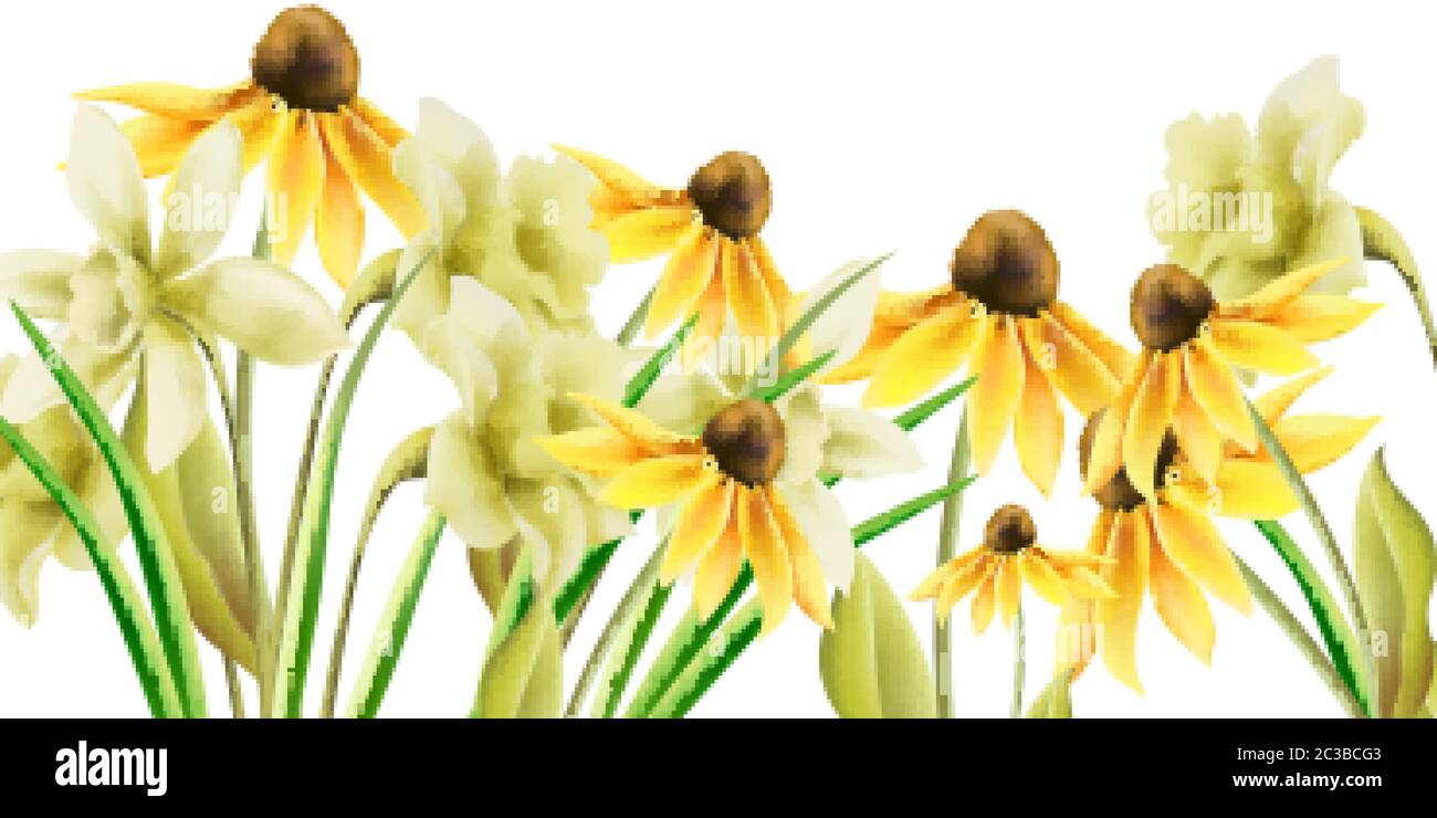 Leuchtend gelbe Narzissen Blüten im Aquarellstil. Banner. Vektor Stock Vektor
