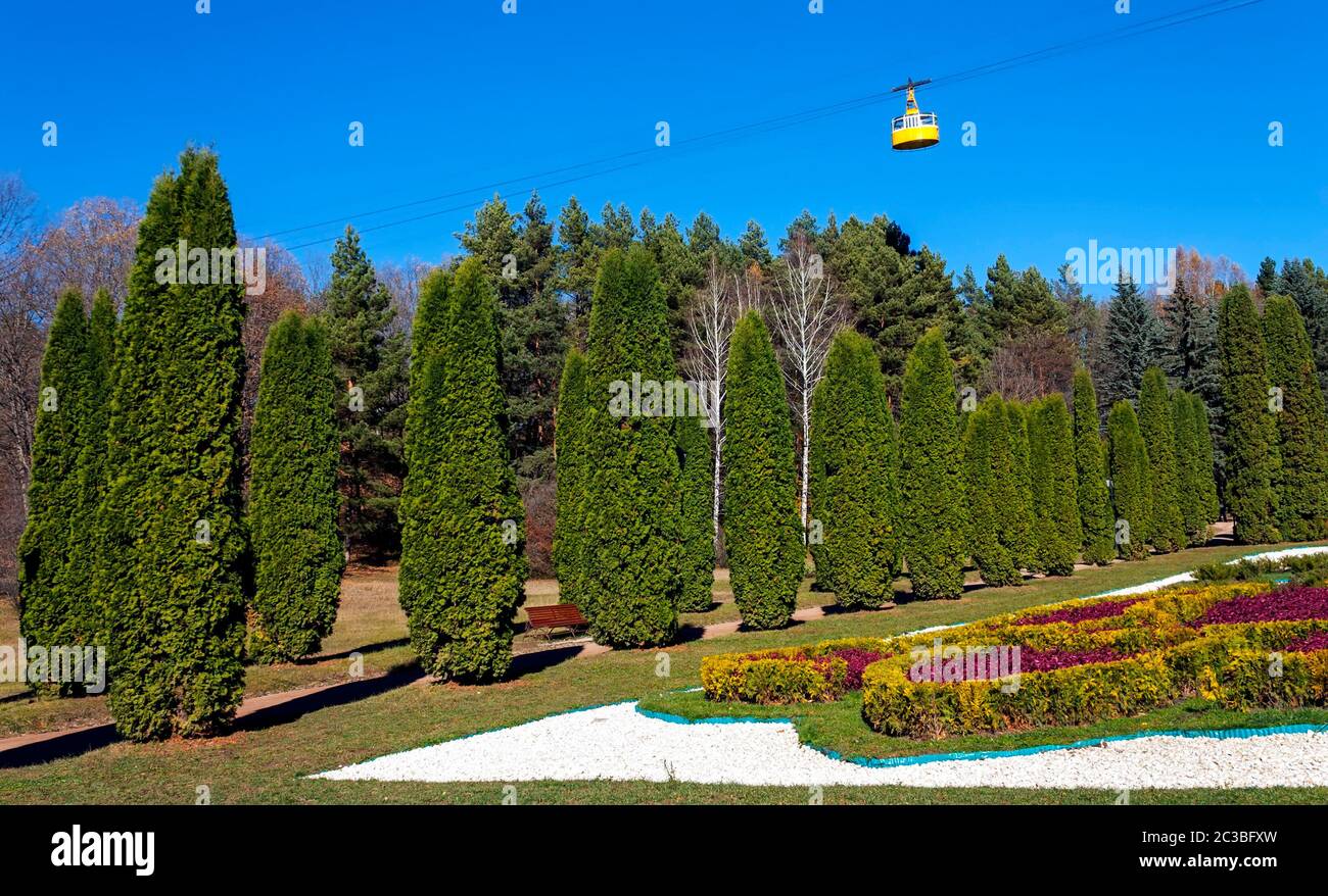 Thuja Gasse im berühmten Kurpark Kislowodsk. Stockfoto