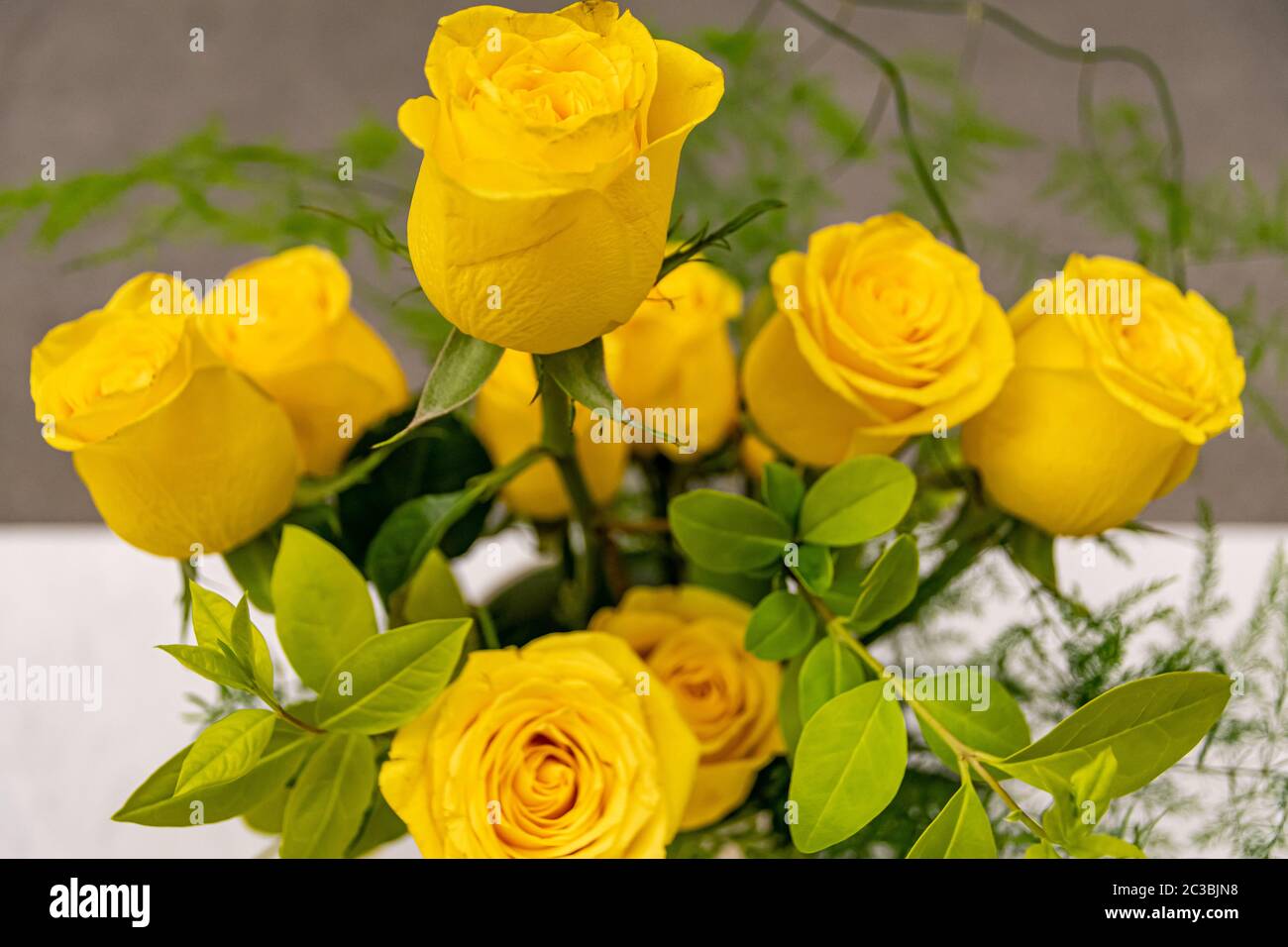 Schöne schöne bunte Blumen im Vordergrund Stockfoto