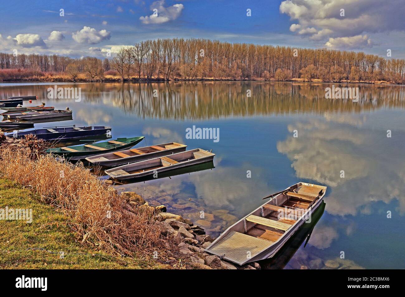 Ruderboote auf der Rheininsel Rott Stockfoto