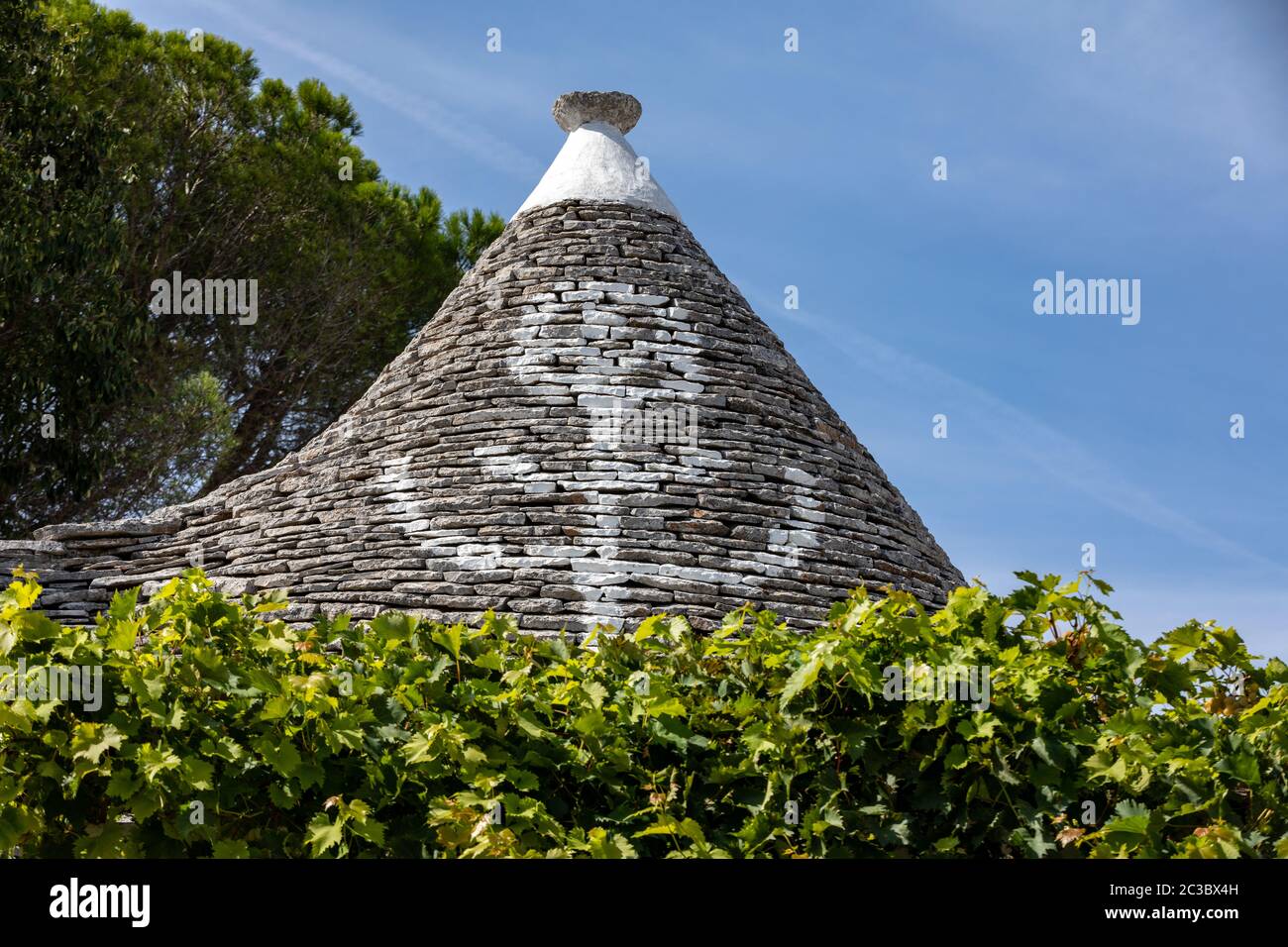 Weinreben auf dem Stein Dach von Trulli in Alberobello, Italien. Der Baustil ist spezifisch für die murge Bereich der italienischen Region ein Stockfoto