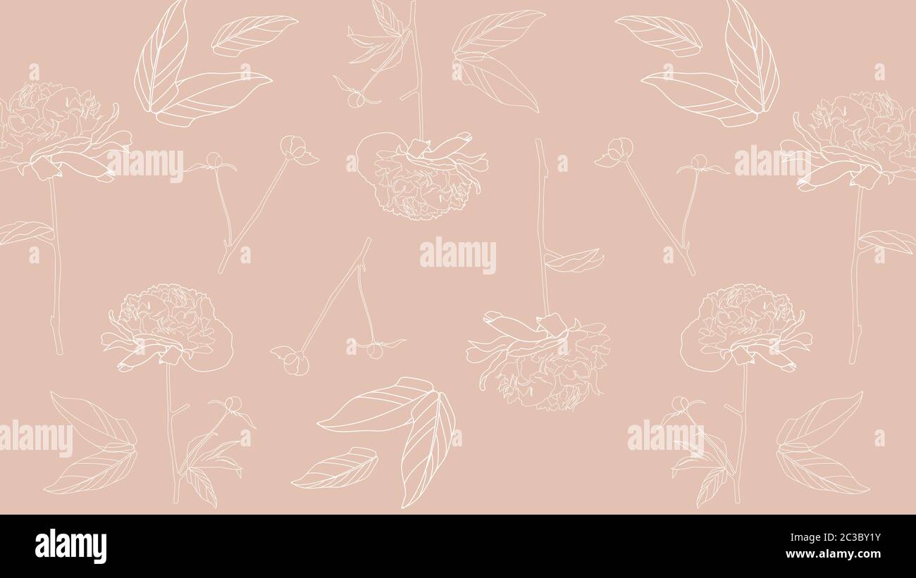Linie Kunst Pfingstrosen Blumen auf beigem Hintergrund. Vektor Stock Vektor