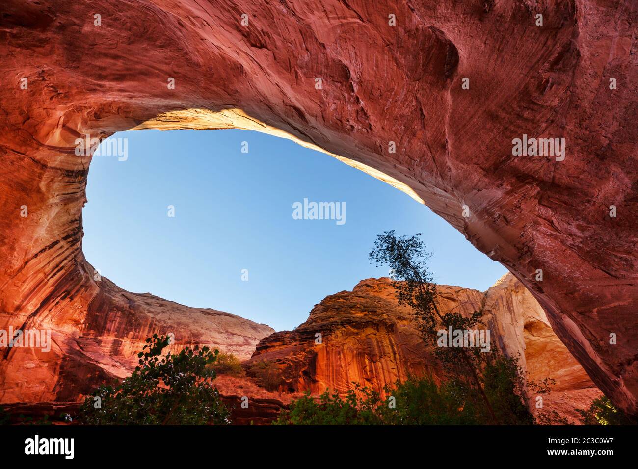 Coyote Buttes Stockfoto