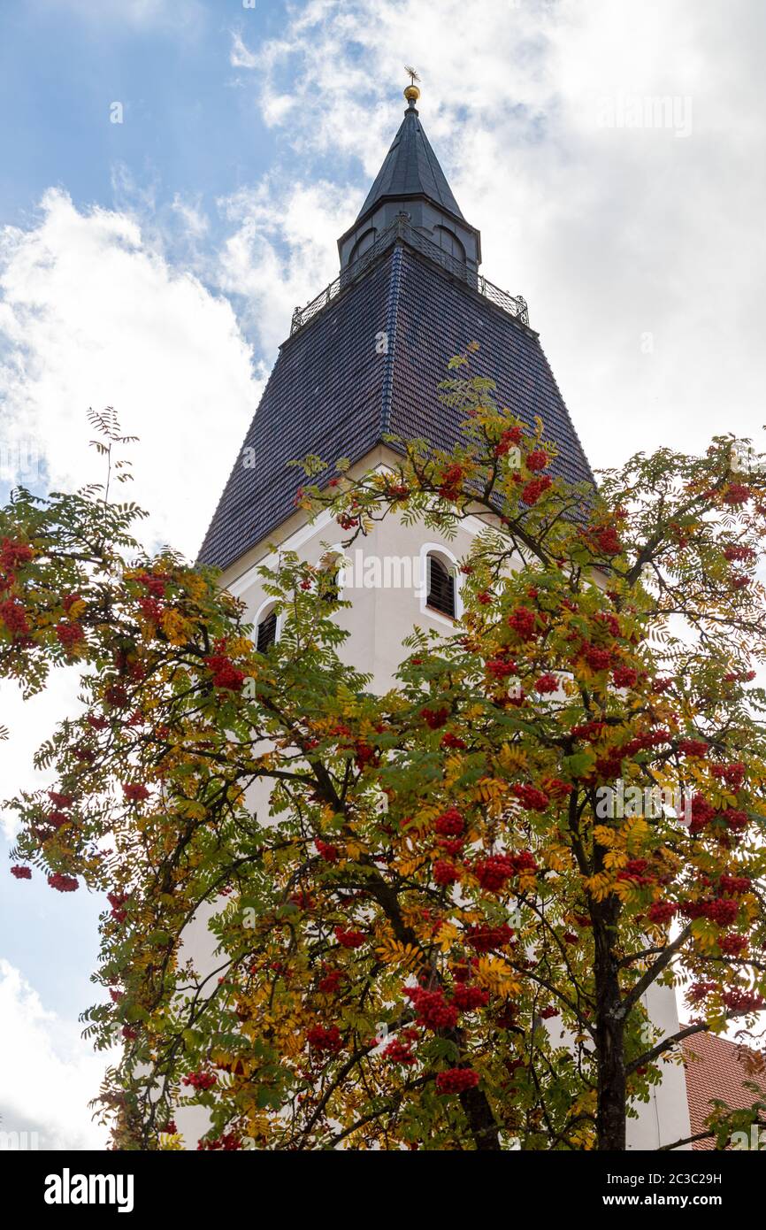 Turm der Pfarrkirche St. Lorenz in Berching, Bayern im Herbst mit bunten Baum im Vordergrund an einem sonnigen Tag Stockfoto