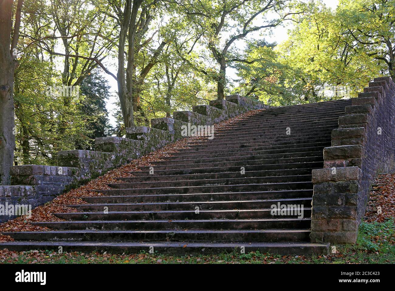 ThingstÃ¤tte Heidelberg - Treppe im herbstlichen Buchenwald Stockfoto