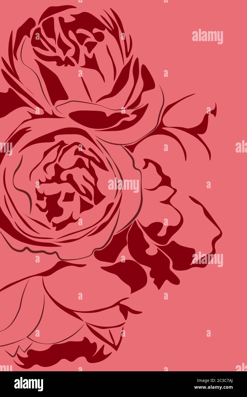 Abbildung von zwei roten Pfingstrosen-Blüten auf rosa Hintergrund. Vektor Stock Vektor