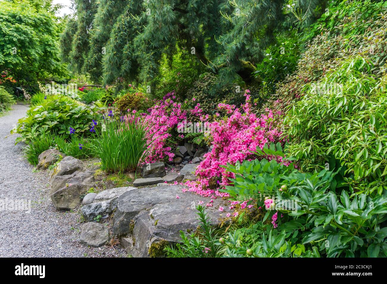 Ein steiniger Gartenpfad bei Seatac, Washington. Stockfoto