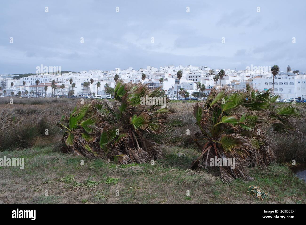 Atlantikküste, Conil de la Frontera Stockfoto