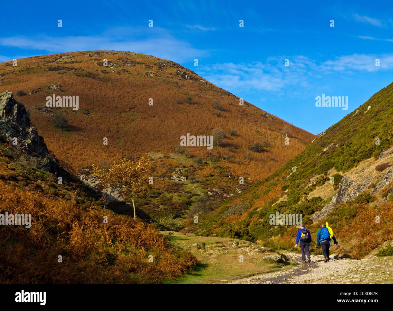 Wanderer im Carding Mill Valley ein beliebtes Wanderziel in der Shropshire Hills Gegend von außergewöhnlicher natürlicher Schönheit England Großbritannien. Stockfoto