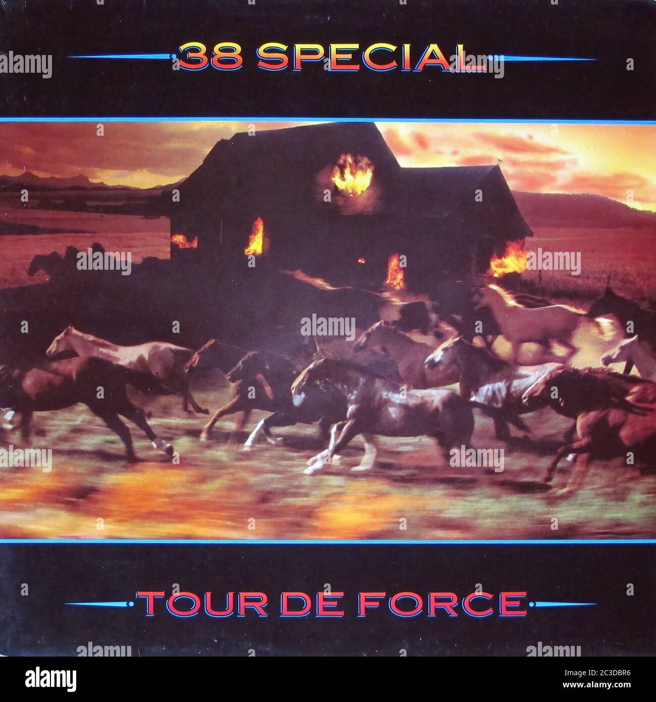 38 SPECIAL TOUR DE FORCE - Vintage 12'' LP Vinyl 01 Cover Stockfoto