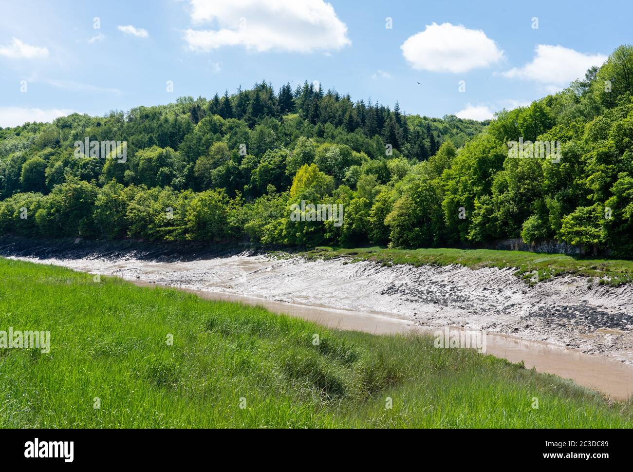 Leigh Woods und Paradise Bottom vom gegenüberliegenden Ufer des Tidal River Avon bei Sea Mills in der Nähe von Bristol UK Stockfoto