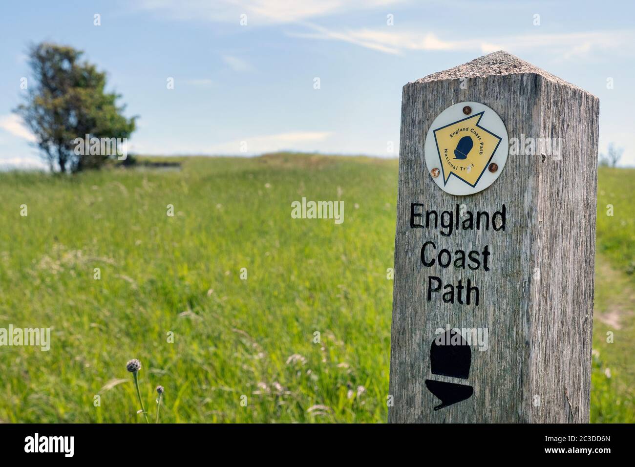 Markierungsposten auf dem England Coast Path. Kent UK Stockfoto