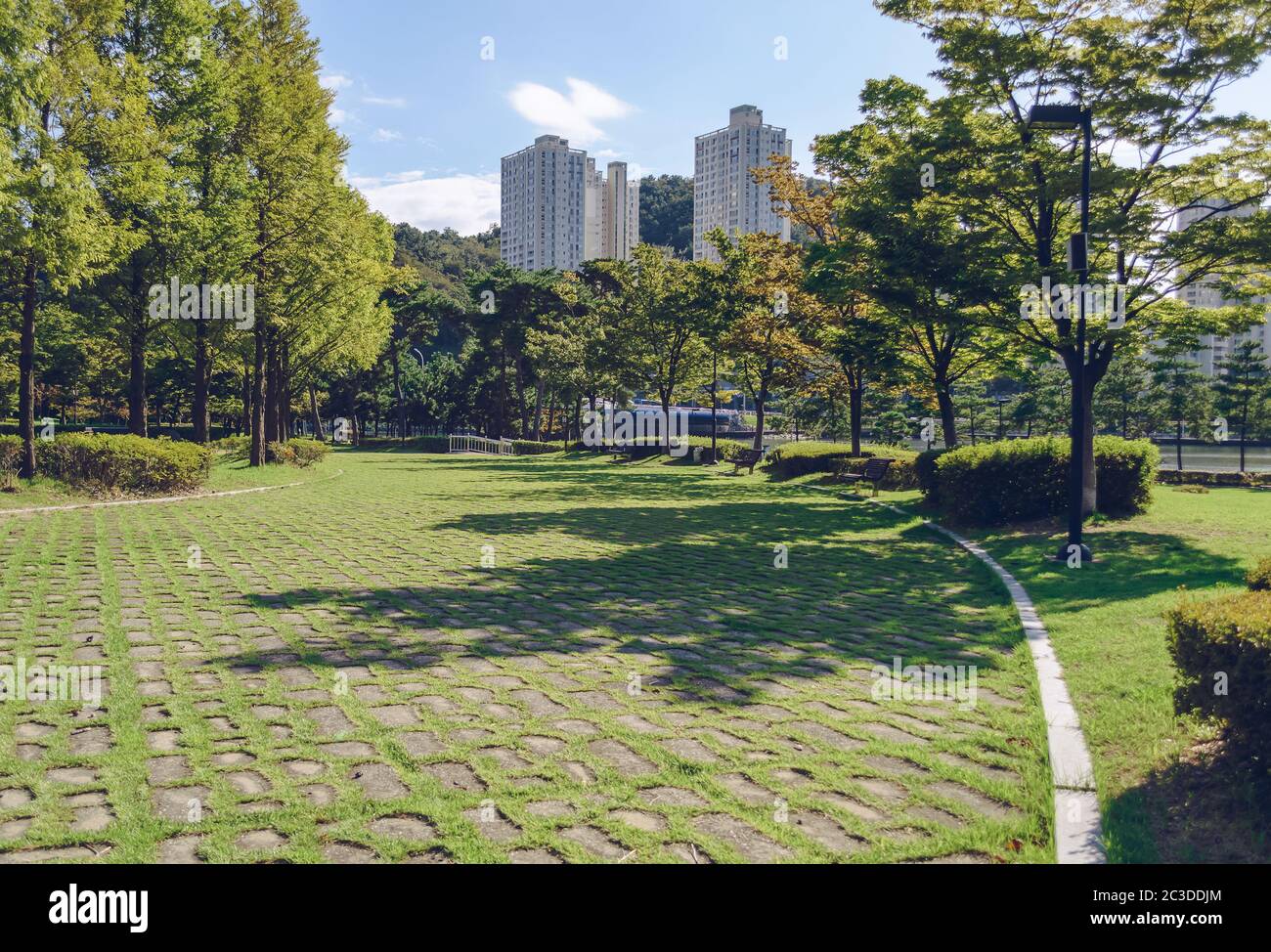 APEC Naru Parkpflaster aus Steinblöcken und grünem Gras mit Busan Stadtbild an sonnigen Tag Stockfoto