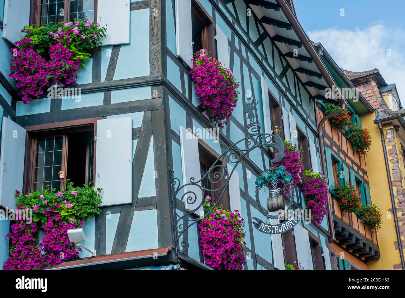 Detail eines alten Fachwerkhauses mit Geranien in Blumenkästen in der mittelalterlichen Stadt Riquewihr im Elsass in Ostfrankreich. Stockfoto Detail eines alten Fachwerkhauses mit Geranien in Blumenkästen in der mittelalterlichen Stadt Riquewihr im Elsass in Ostfrankreich. Stockfoto