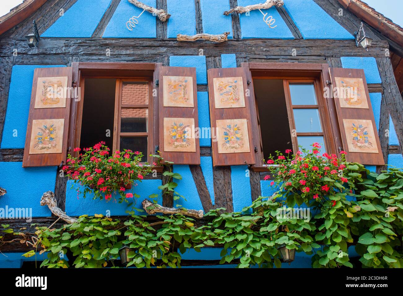 Detail eines alten Fachwerkhauses mit Geranien in Blumenkästen in der mittelalterlichen Stadt Riquewihr im Elsass in Ostfrankreich. Stockfoto Detail eines alten Fachwerkhauses mit Geranien in Blumenkästen in der mittelalterlichen Stadt Riquewihr im Elsass in Ostfrankreich. Stockfoto
