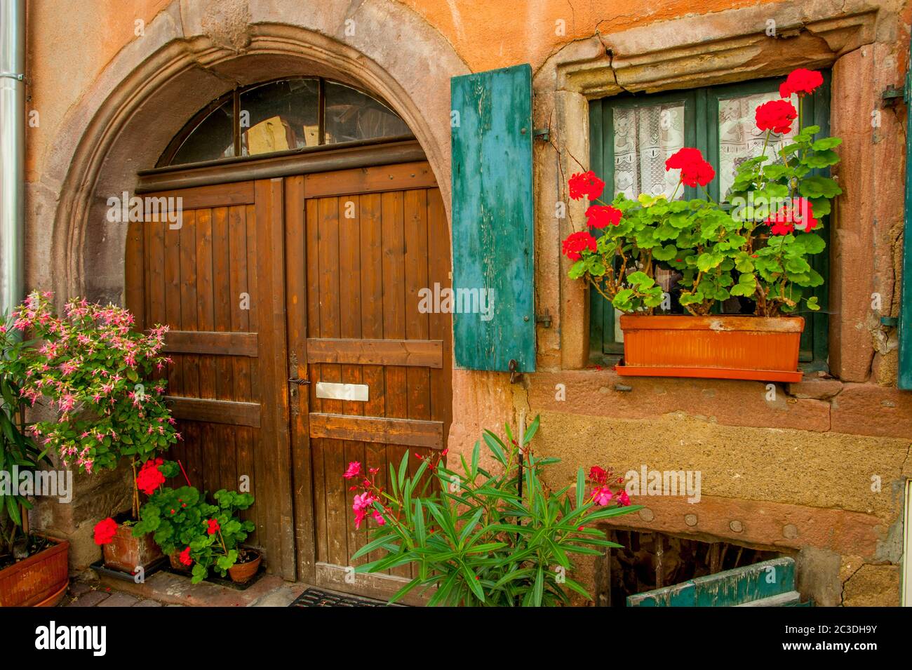 Detail eines alten Fachwerkhauses mit Geranien in Blumenkästen in der mittelalterlichen Stadt Riquewihr im Elsass in Ostfrankreich. Stockfoto Detail eines alten Fachwerkhauses mit Geranien in Blumenkästen in der mittelalterlichen Stadt Riquewihr im Elsass in Ostfrankreich. Stockfoto