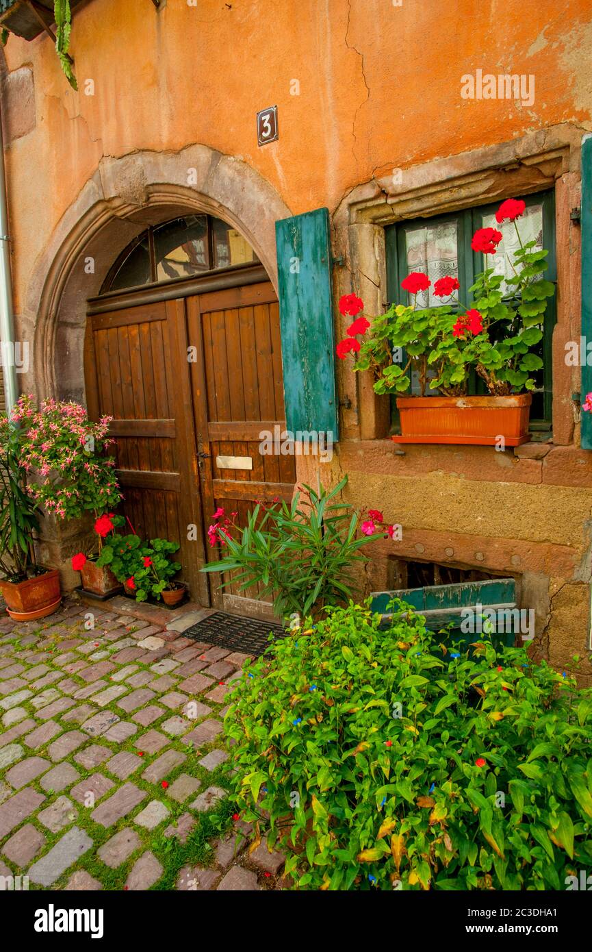 Detail eines alten Fachwerkhauses mit Geranien in Blumenkästen in der mittelalterlichen Stadt Riquewihr im Elsass in Ostfrankreich. Stockfoto Detail eines alten Fachwerkhauses mit Geranien in Blumenkästen in der mittelalterlichen Stadt Riquewihr im Elsass in Ostfrankreich. Stockfoto