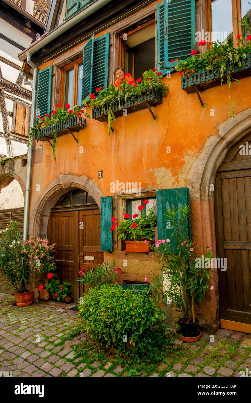 Detail eines alten Fachwerkhauses mit Geranien in Blumenkästen in der mittelalterlichen Stadt Riquewihr im Elsass in Ostfrankreich. Stockfoto Detail eines alten Fachwerkhauses mit Geranien in Blumenkästen in der mittelalterlichen Stadt Riquewihr im Elsass in Ostfrankreich. Stockfoto