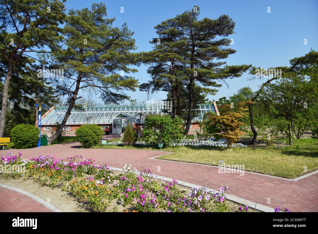 Nordkorea 3. Mai 2019 Botanischer Garten im Songdowon International