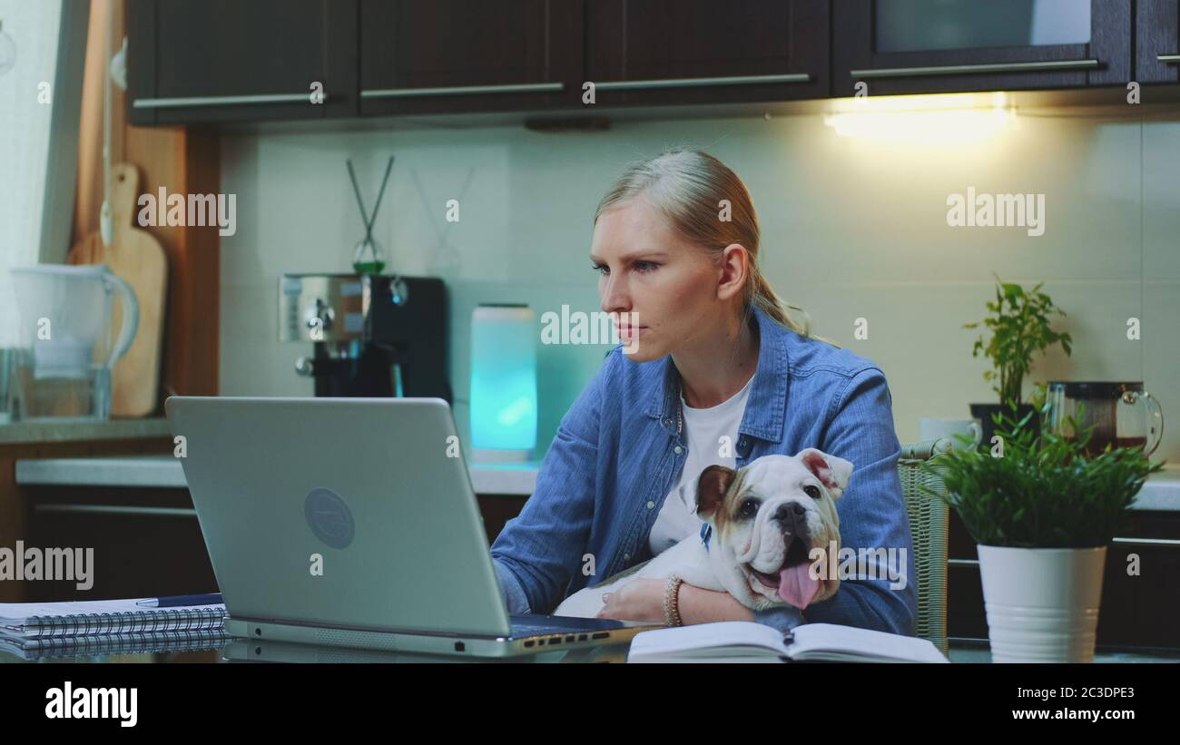 Junge Frau, die am Computer arbeitet und einen kleinen Hund an den Händen hält. Arbeiten in der Küche zu Hause. Stockfoto
