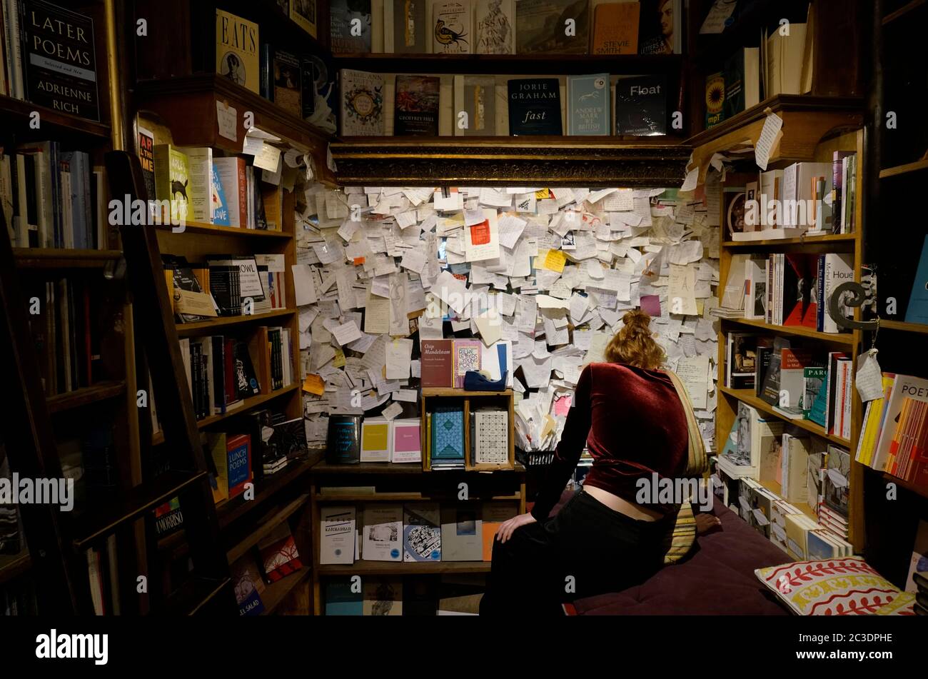 Ein Besucher, der die Tafel im Lesesaal des Buchladens Shakespeare and Company im zweiten Stock durchstöbert.Paris.Frankreich Stockfoto