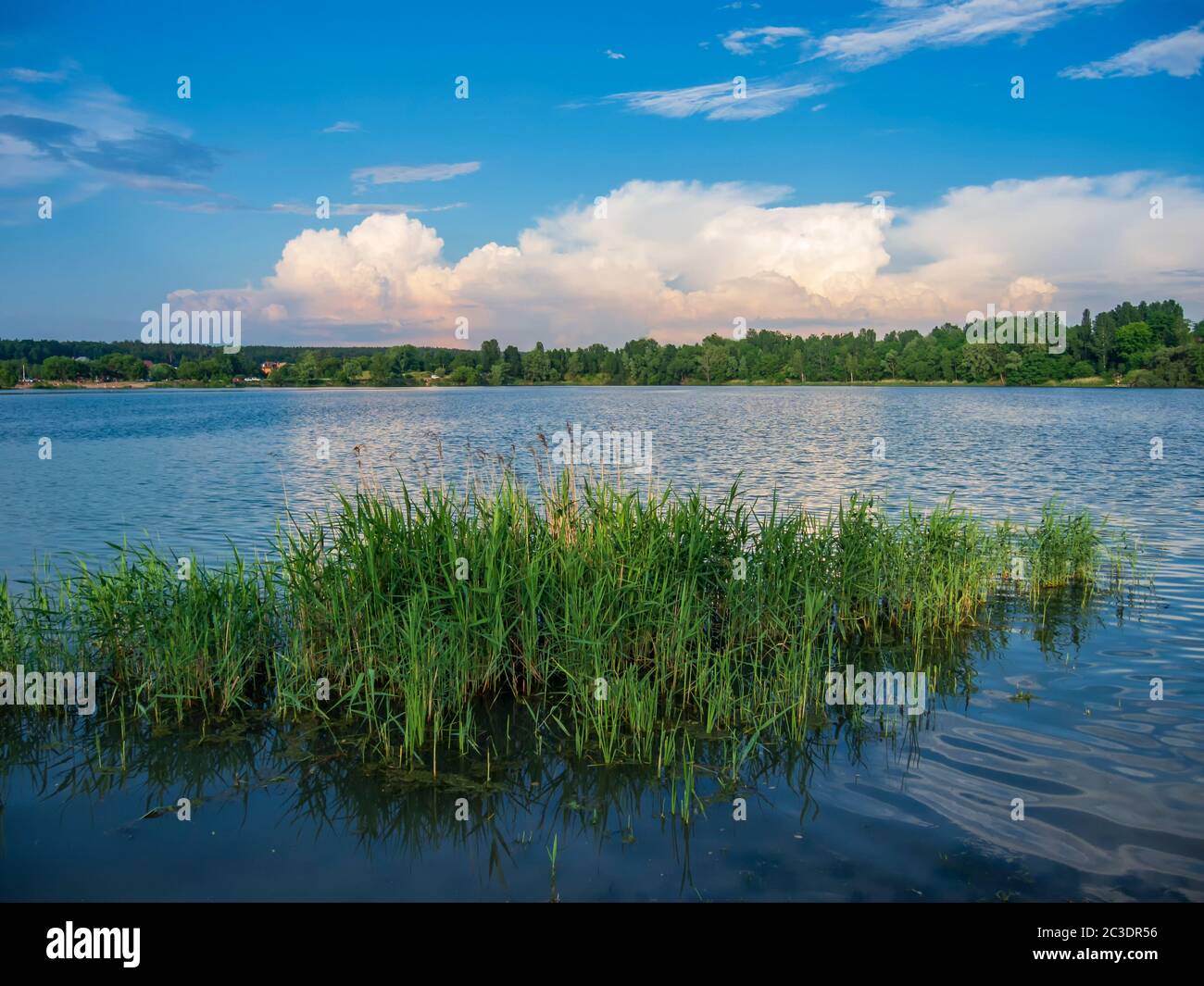 Ein toller Tag am See. Sommerlandschaft, perfekter Ort für Urlaub oder Ruhetag. Stockfoto