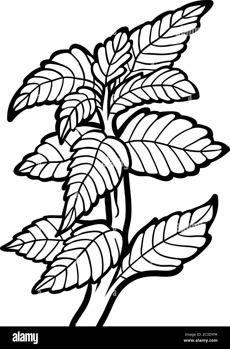 Bild für Kinder, Pflanze Mint Stock Vektor