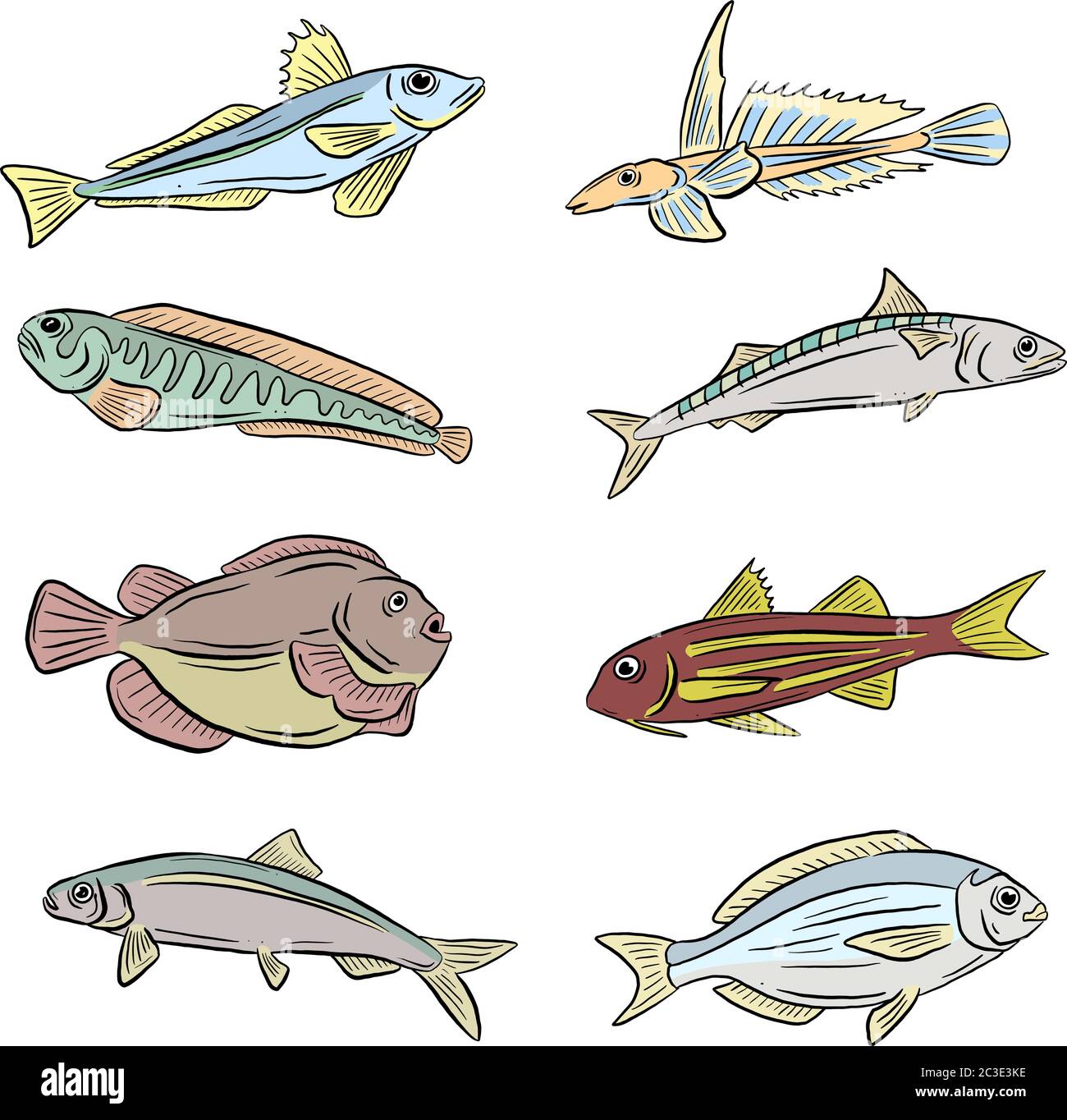 Eine Sammlung von Unterwasser Meer und Süßwasserfisch Haie und Aale Cartoon Illustration Clipart in Vektorform Logos Stock Vektor