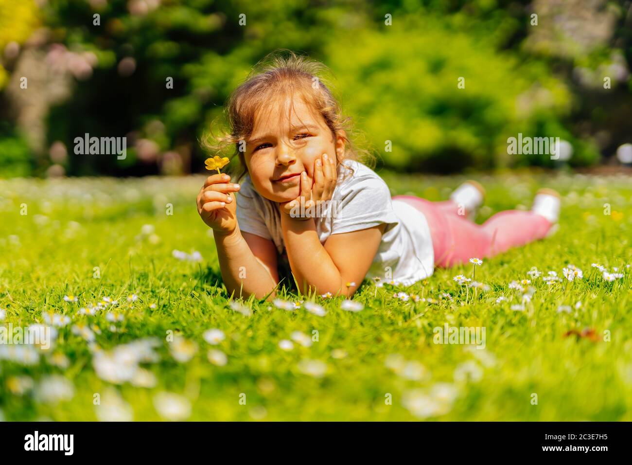 Junges Mädchen mit gelben Schmetterlingsblume auf der Wiese Stockfoto