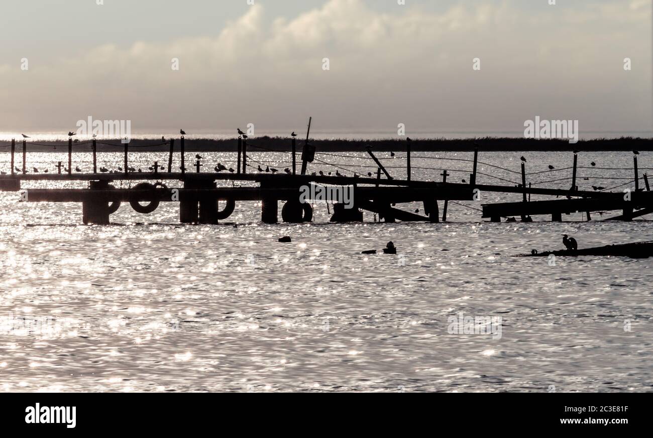 Silhouette eines alten gebrochen Pier mit Vögeln im Meer im Sommer Abend Stockfoto