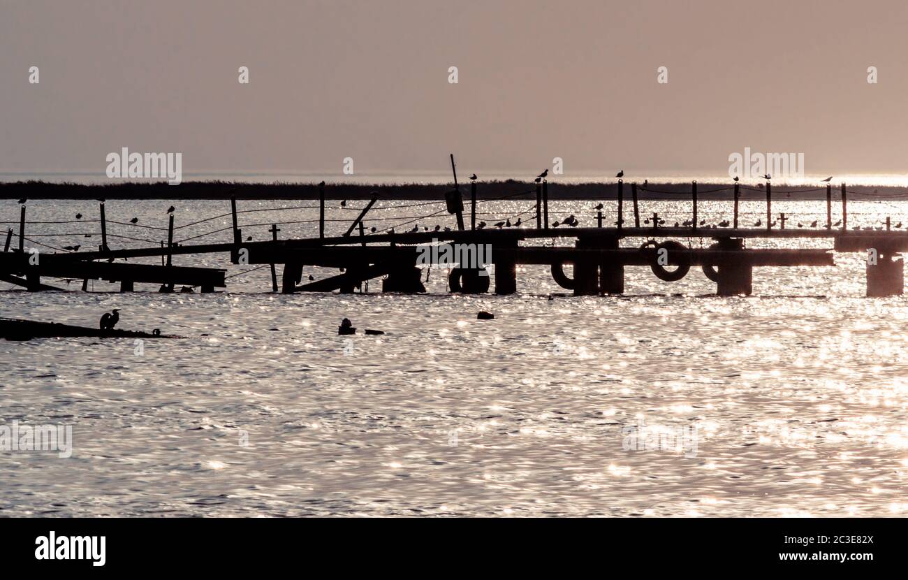 Silhouette eines alten gebrochen Pier mit Vögeln im Meer im Sommer Abend Stockfoto