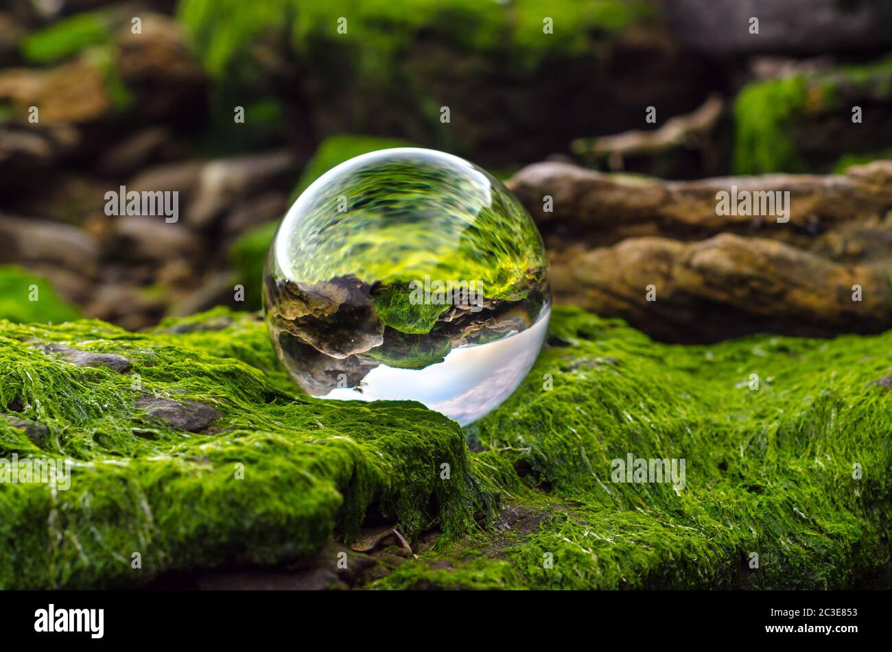 Glaskugel-Linse liegt auf Steinen mit grünem Schlamm und Reflec bedeckt Stockfoto