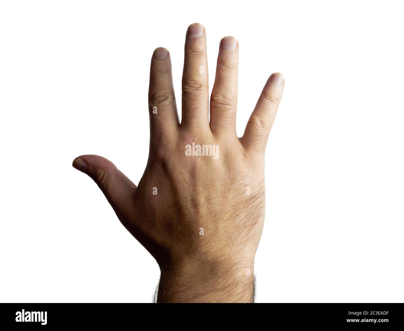 Männliche brutale haarige Hand zeigt fünf auf einem isolierten Hintergrund Stockfoto