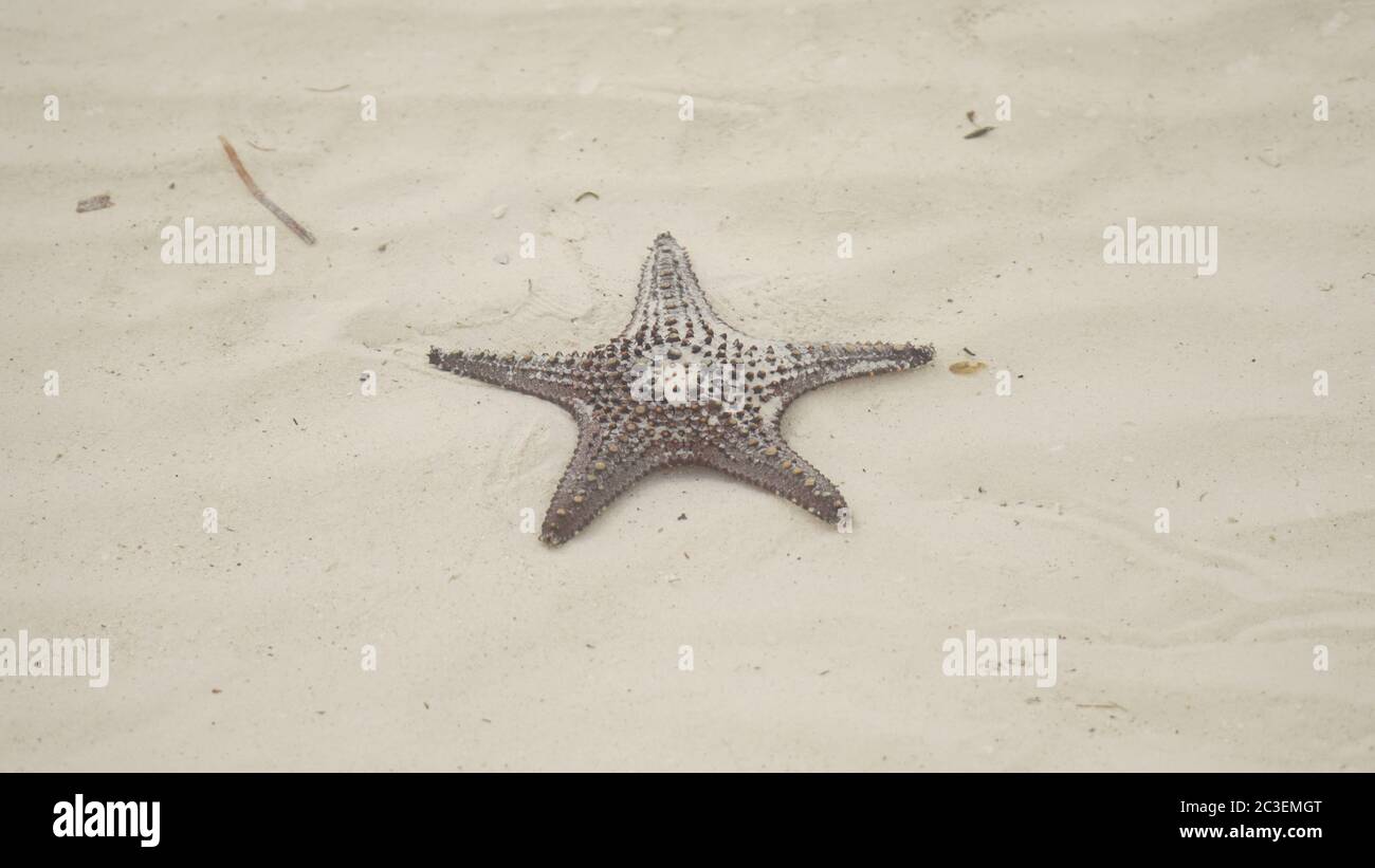 Bohol Island Eindrücke von der Nähe von Cebu, Philippinen. Stockfoto