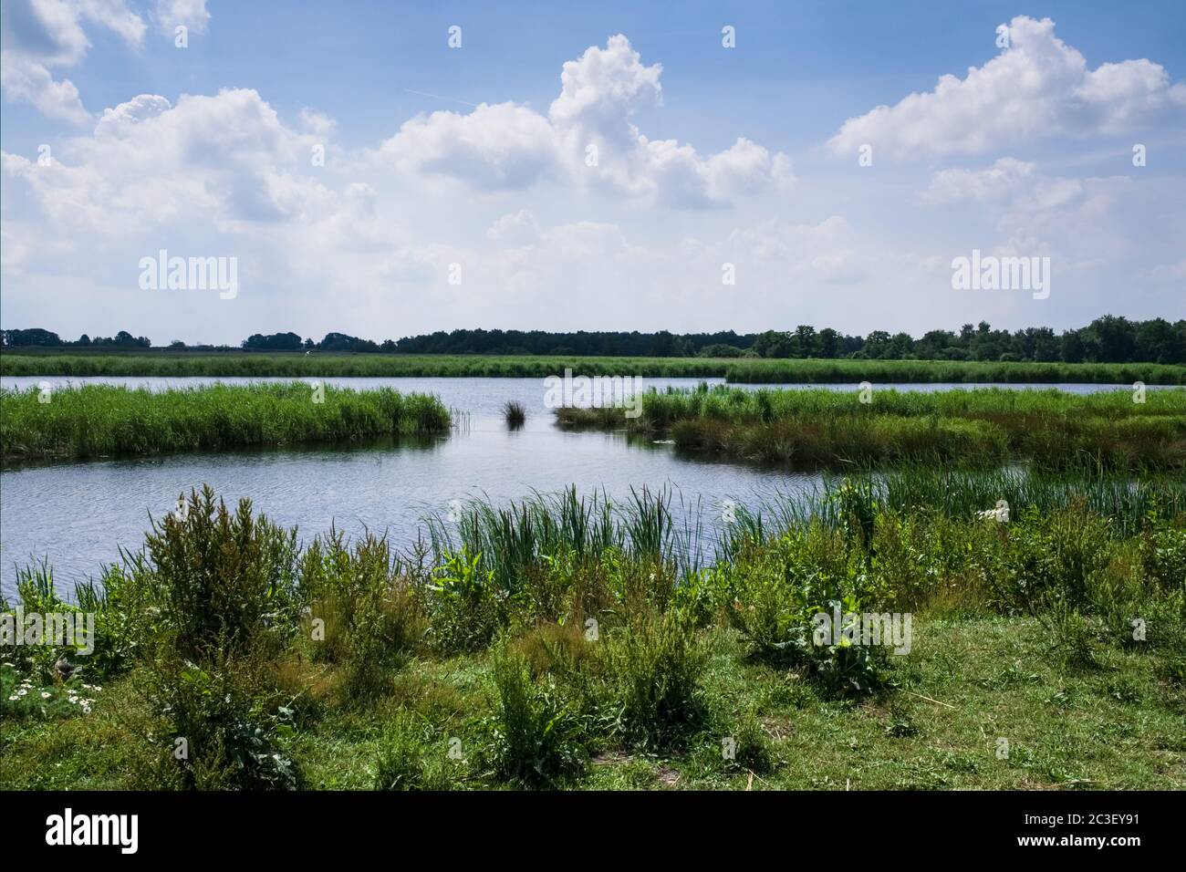 Schöne Landschaft mit Seen, Sümpfen und Schilf im Nationalpark De Weerribben bei Giethoorn, Niederlande Stockfoto