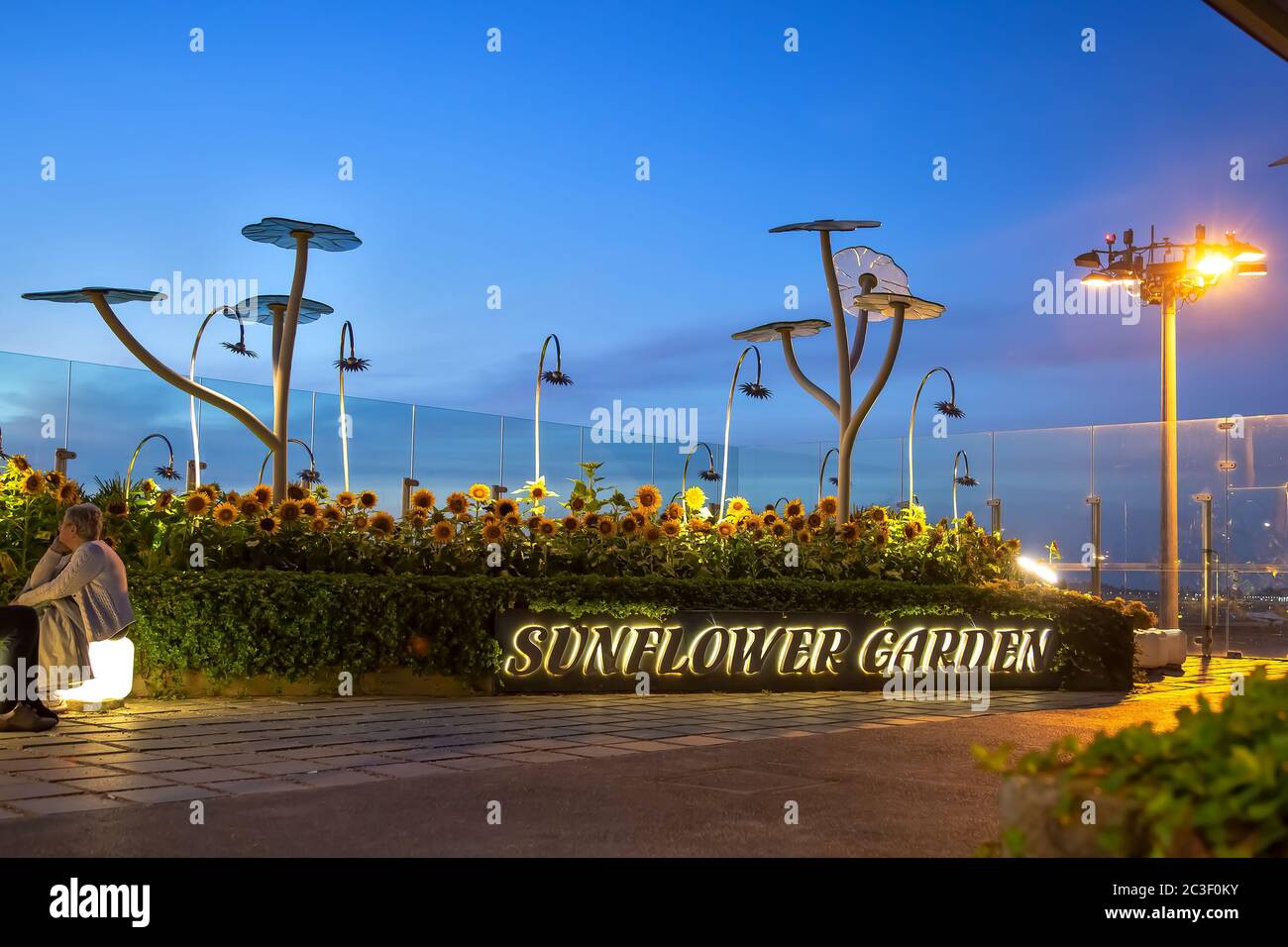 Sonnenblumen-Garten mit Raucherbereich am Flughafen Singapur bei Sonnenaufgang Stockfoto