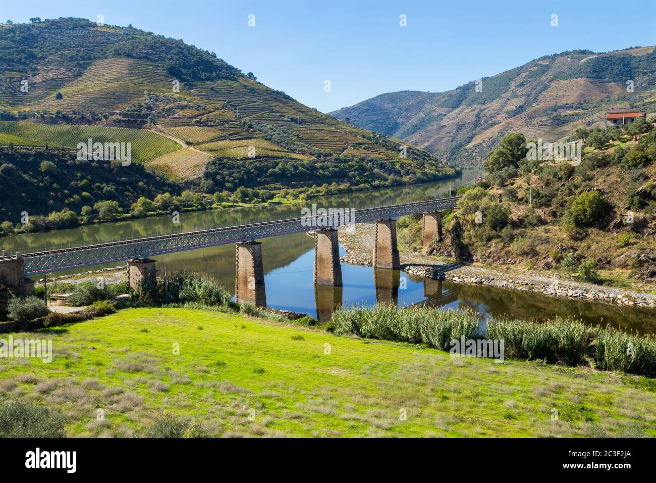 Landschaftlich reizvolle Aussicht auf das Douro-Tal und den Fluss mit terrassenförmig angelegten Weinbergen in der Nähe des Dorfes Tua, Portugal Stockfoto