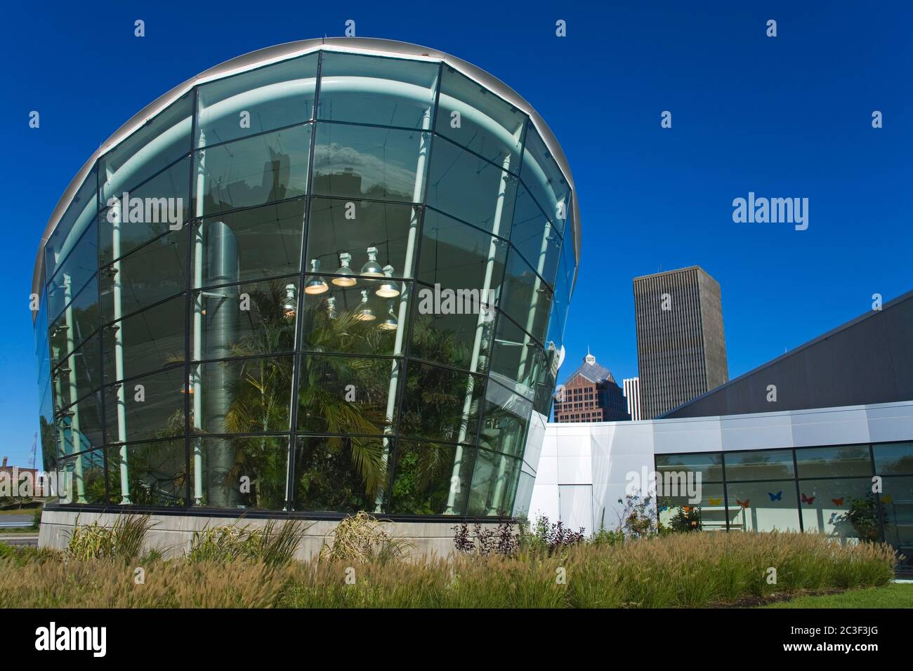 Butterfly House, stark National Museum of Play, Rochester, New York State, USA Stockfoto