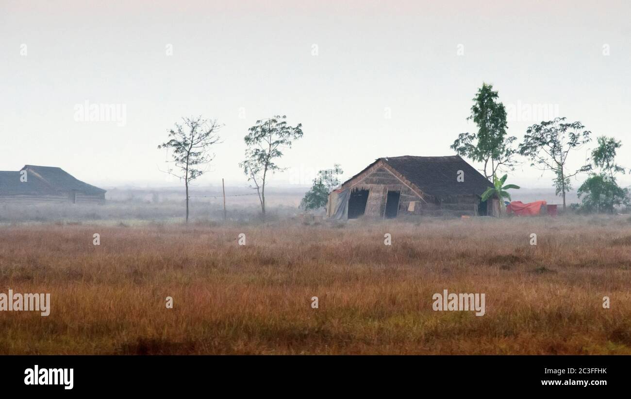 Schlechte Hütte im Morgennebel. Myanmar Birma Stockfoto